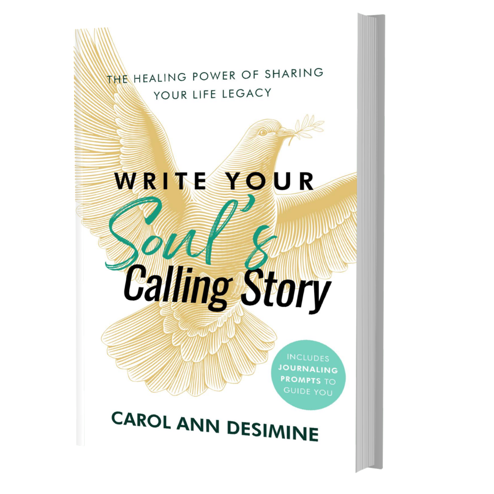 mock-00053 write your soul's calling story book
